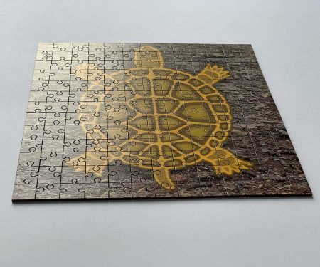 Puzzle Tortue Feng Shui en bois 169 pièces