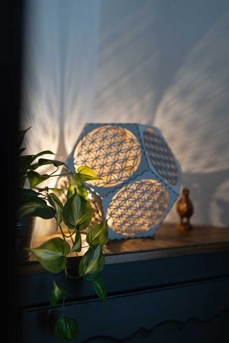 lampe L allumée avec plante