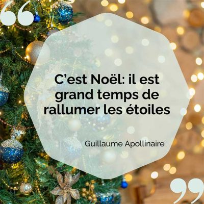 phrase de G. Apollinaire