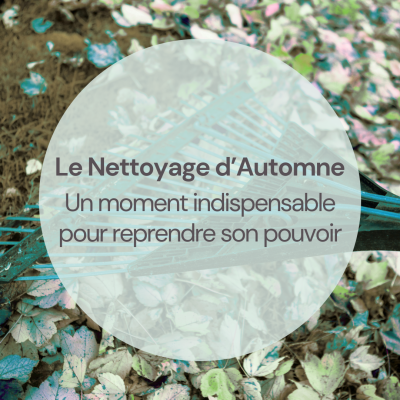 image parlant du nettoyage d'automne